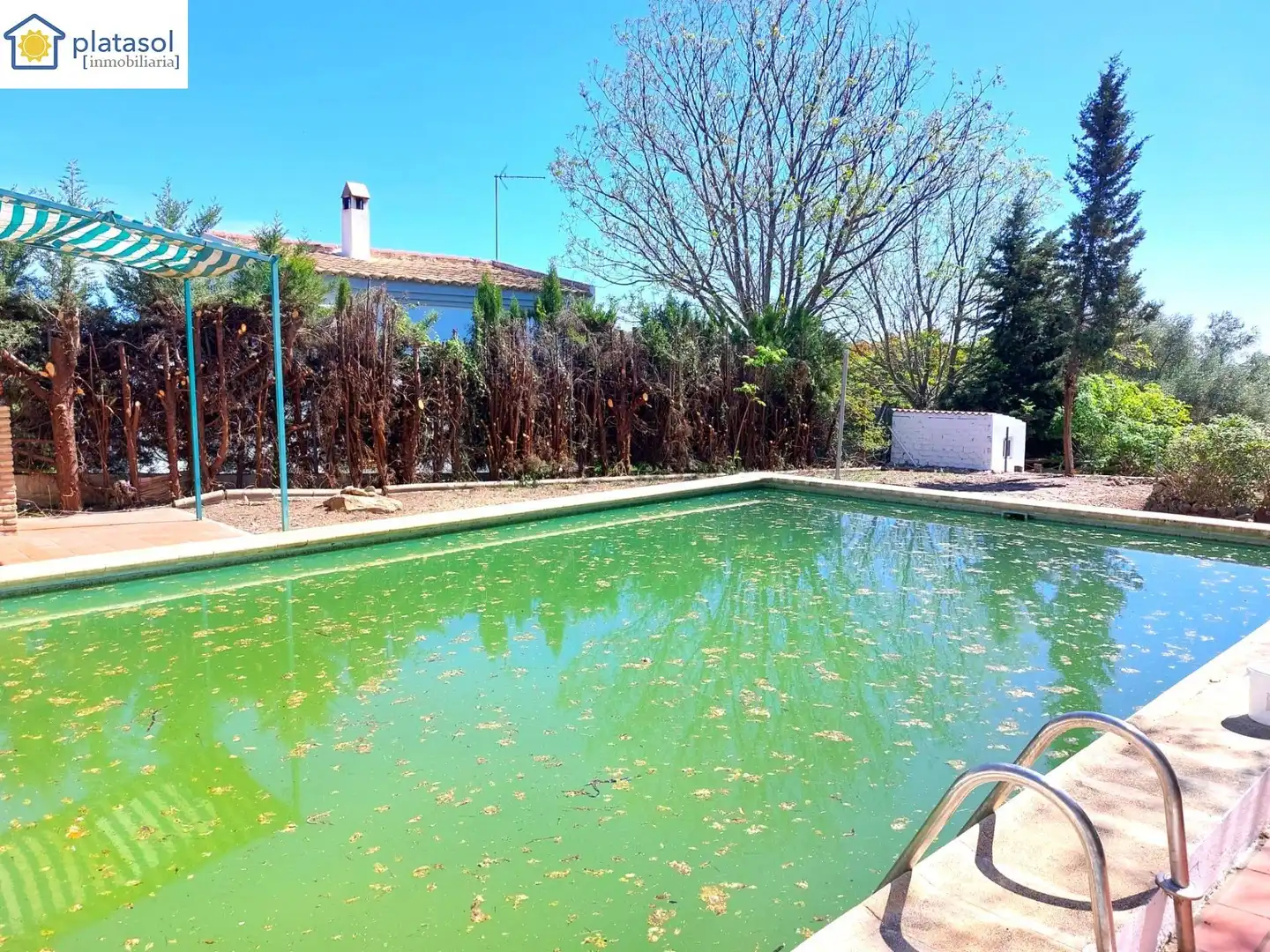 Chalet con piscina en venta en Calle ROMA, imagen 28