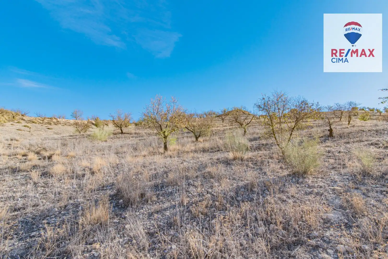Terreno en venta en Santa Cruz del Comercio