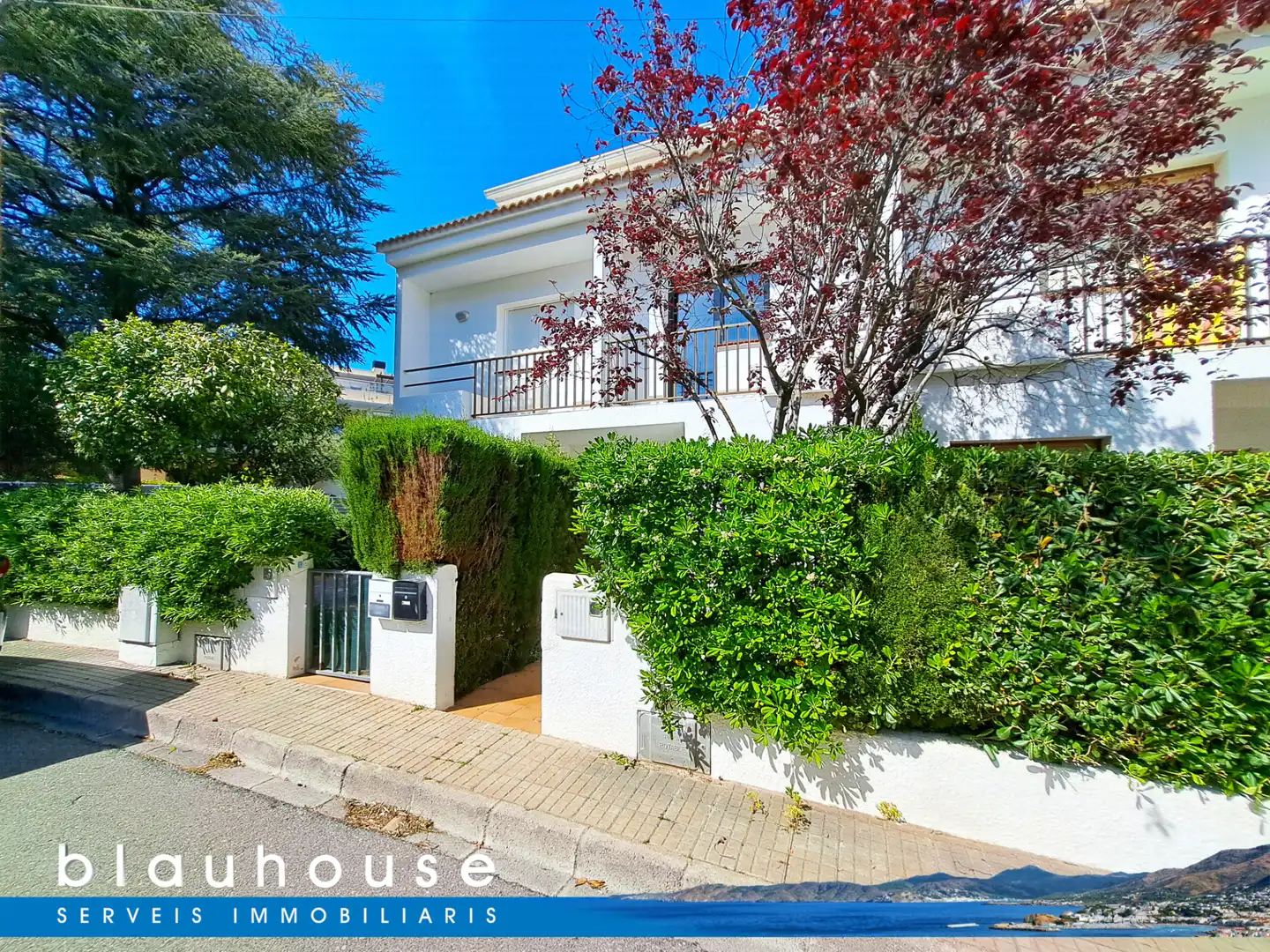 Vista exterior de Casa adosada en venda en Llançà amb Jardí privat, Parquet i Terrassa
