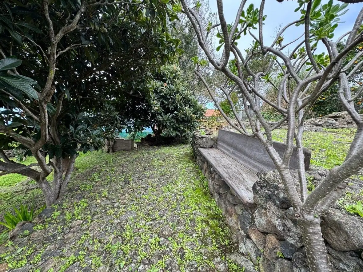 Jardí de Finca rústica en venda en Icod de los Vinos amb Terrassa