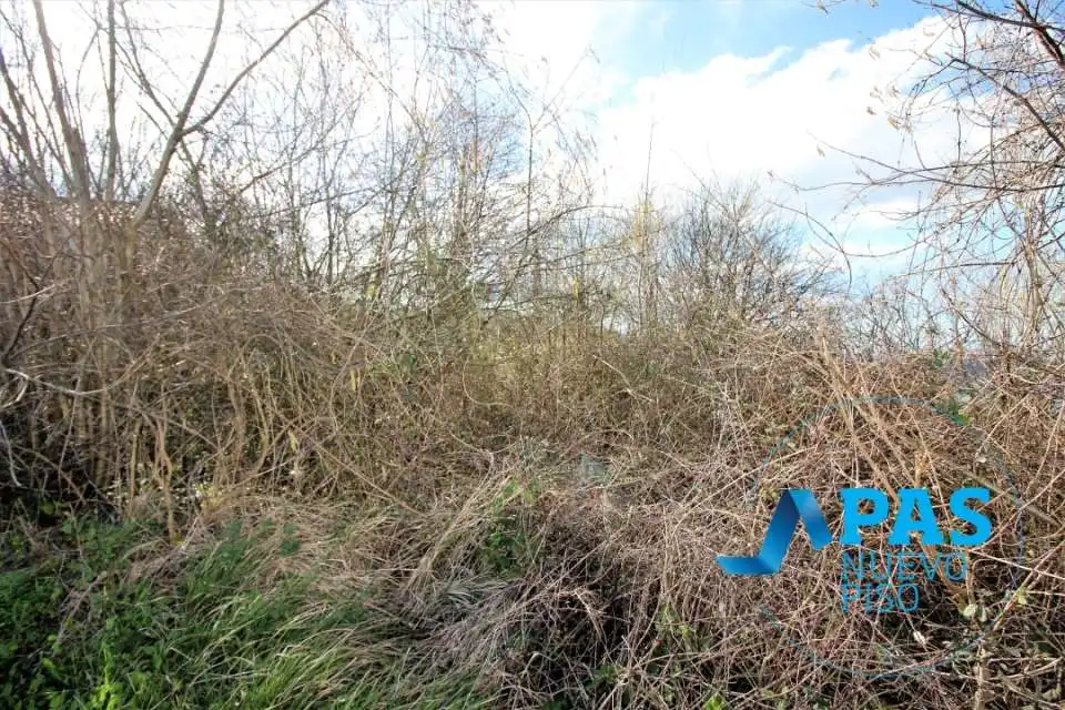 Casa o xalet en venda en Solórzano amb Jardí privat
