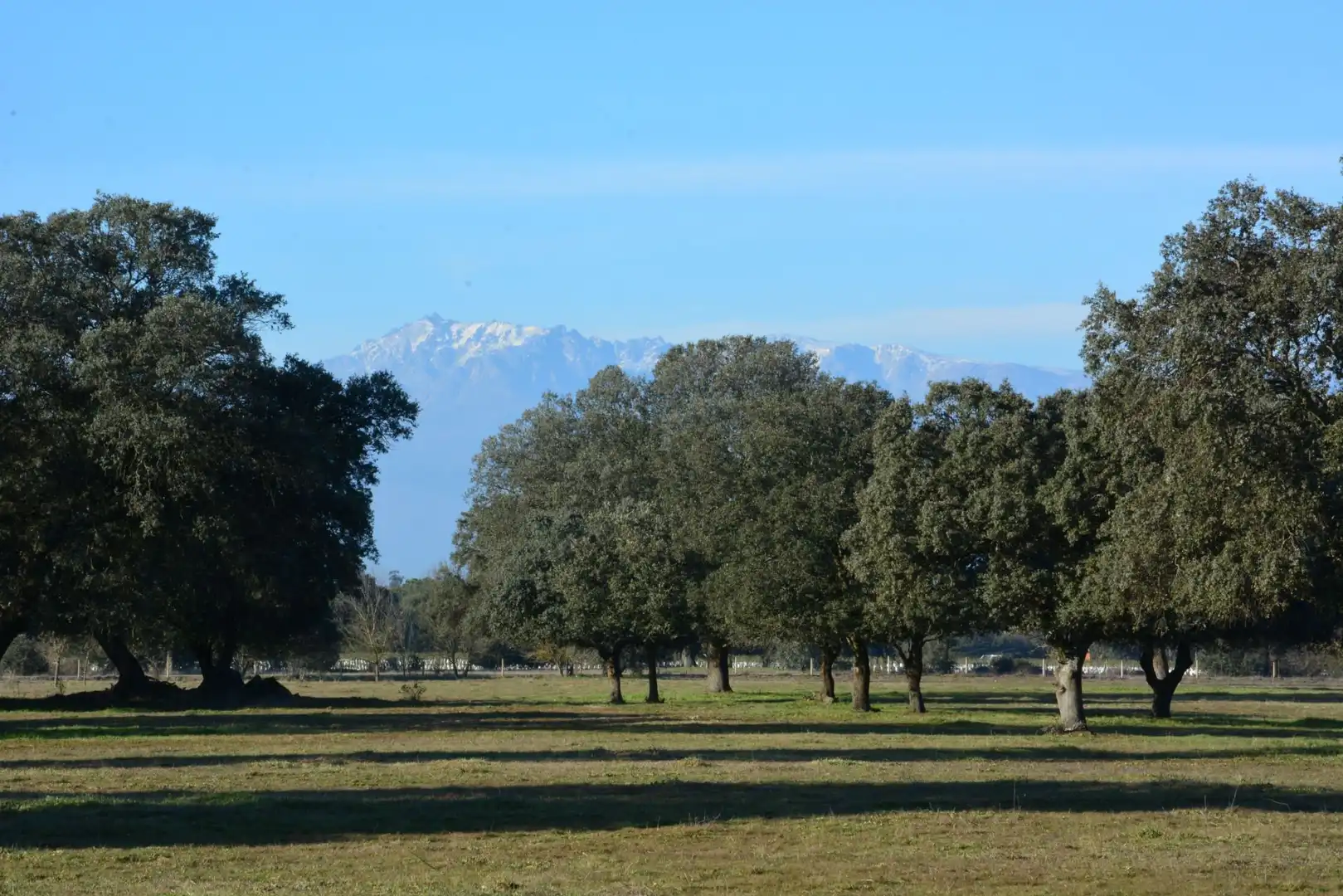 Außenansicht von Grundstücke zum Verkauf in Torralba de Oropesa