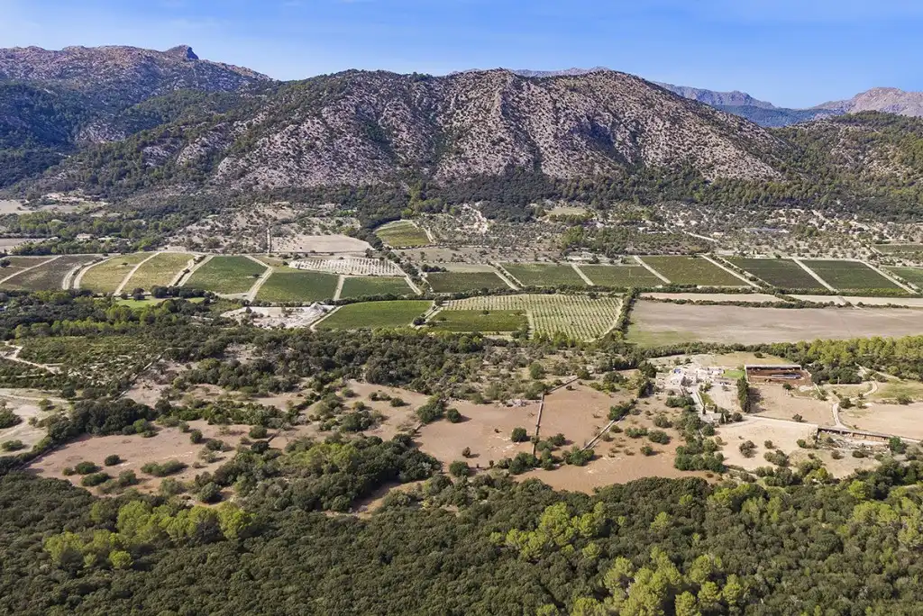 Terreno rustico in vendita a Pollença Poble, imagen 9