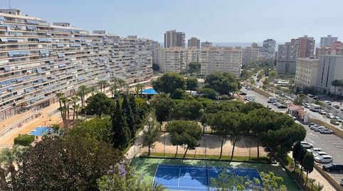 Foto 2 de Estudi de lloguer a Avenida Benidorm, Playa de San Juan, Alicante / Alacant