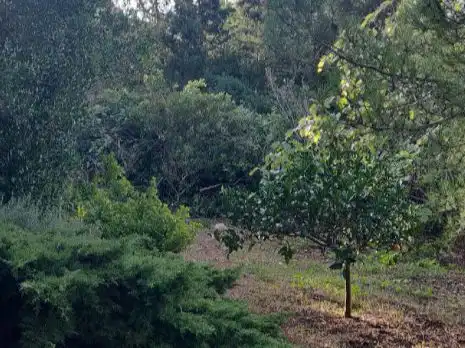 Terreno residencial en venta en Solei 134, imagen 4