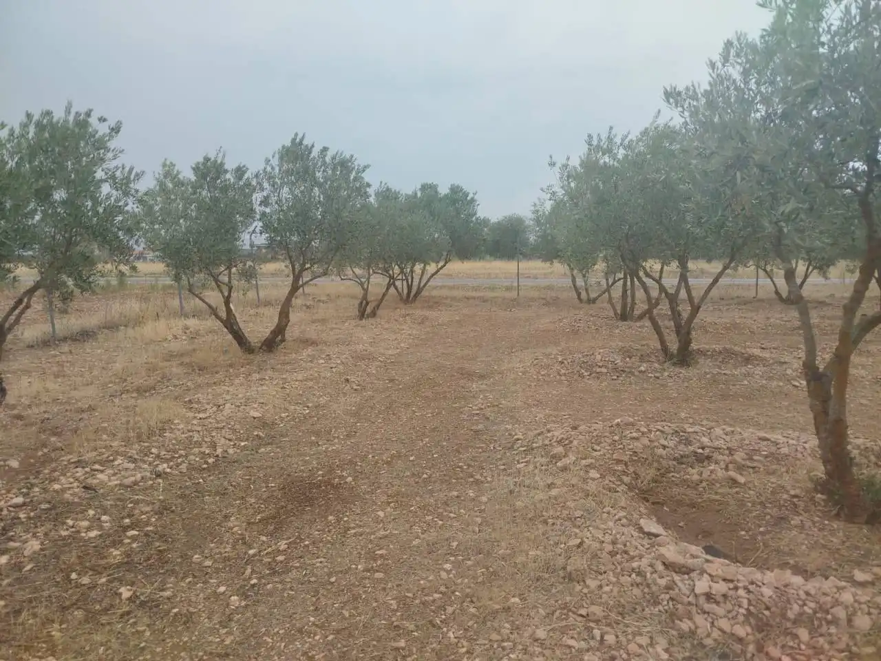 Casa rústica en venta en Poligono 84 Parcela 10, imagen 28