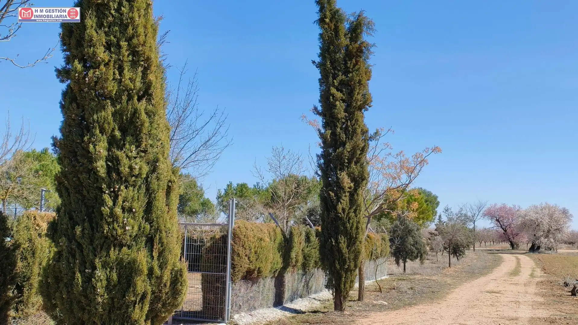 Chalet con piscina en venta en Alcázar de San Juan, imagen 17