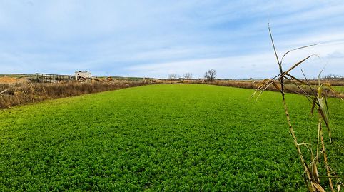 Finca Rúst. en venta en Zuera.
