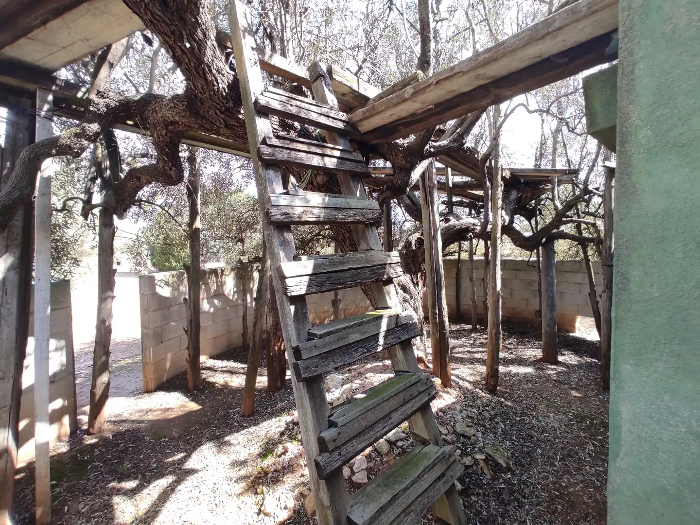 Terreno rustico in vendita a Traiguera, imagen 15