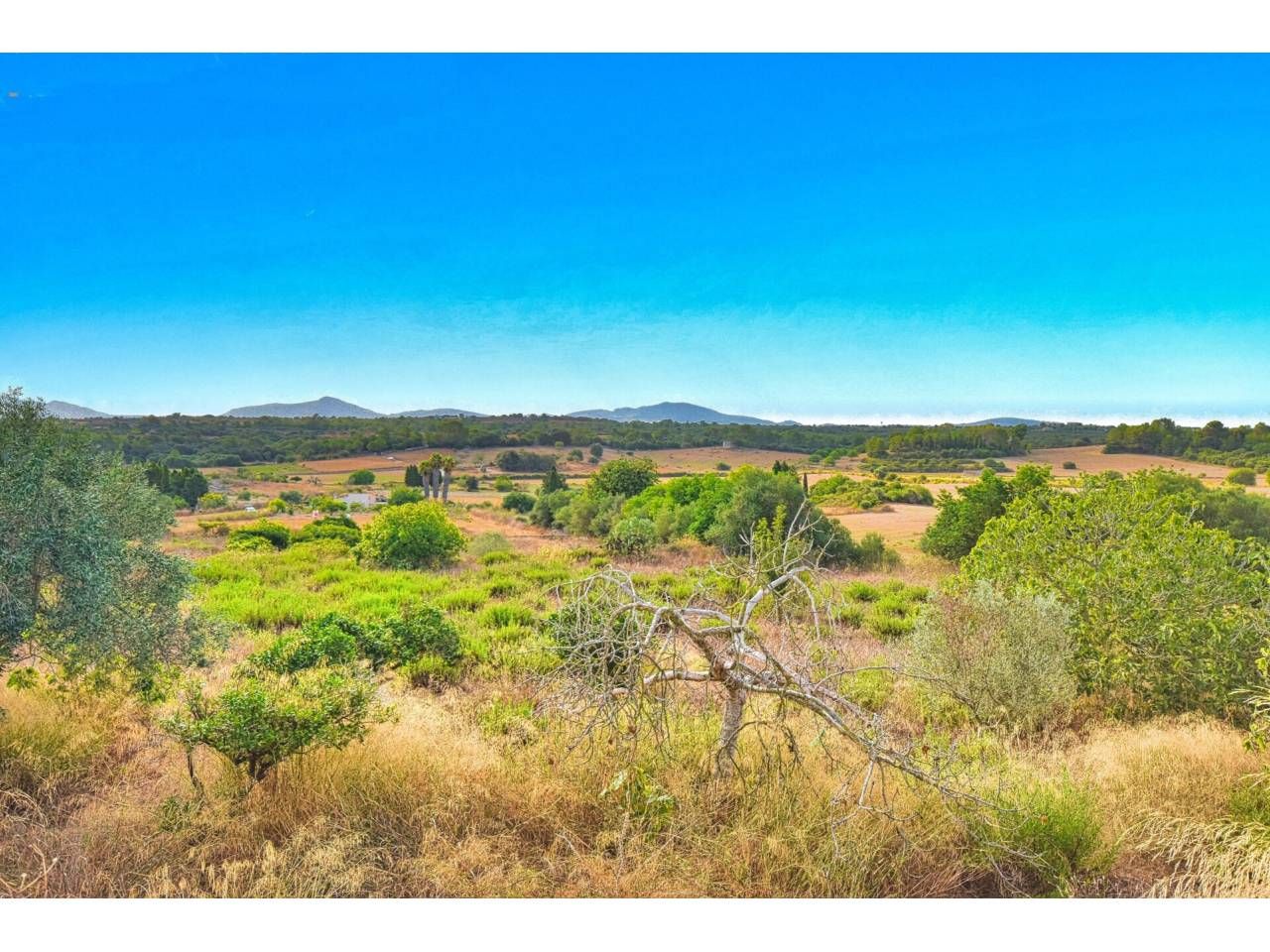 Finca rústica en venda en Santa Margalida amb Jardí privat, Terrassa i Piscina