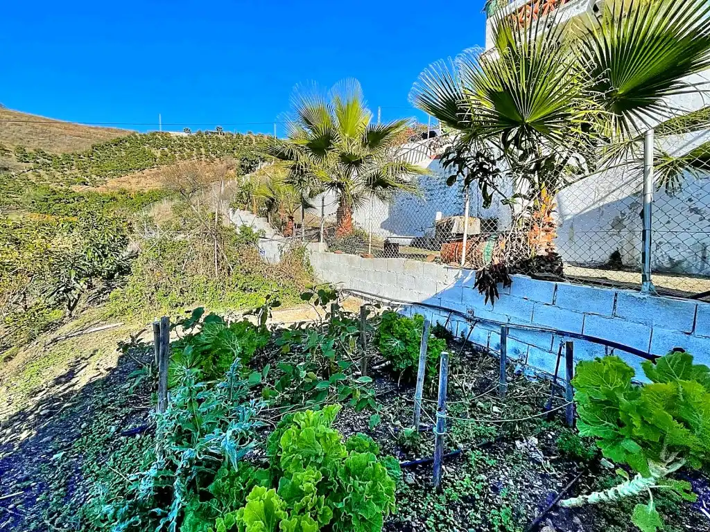 Jardín de Finca rústica en venta en Macharaviaya con Jardín privado, Terraza y Amueblado