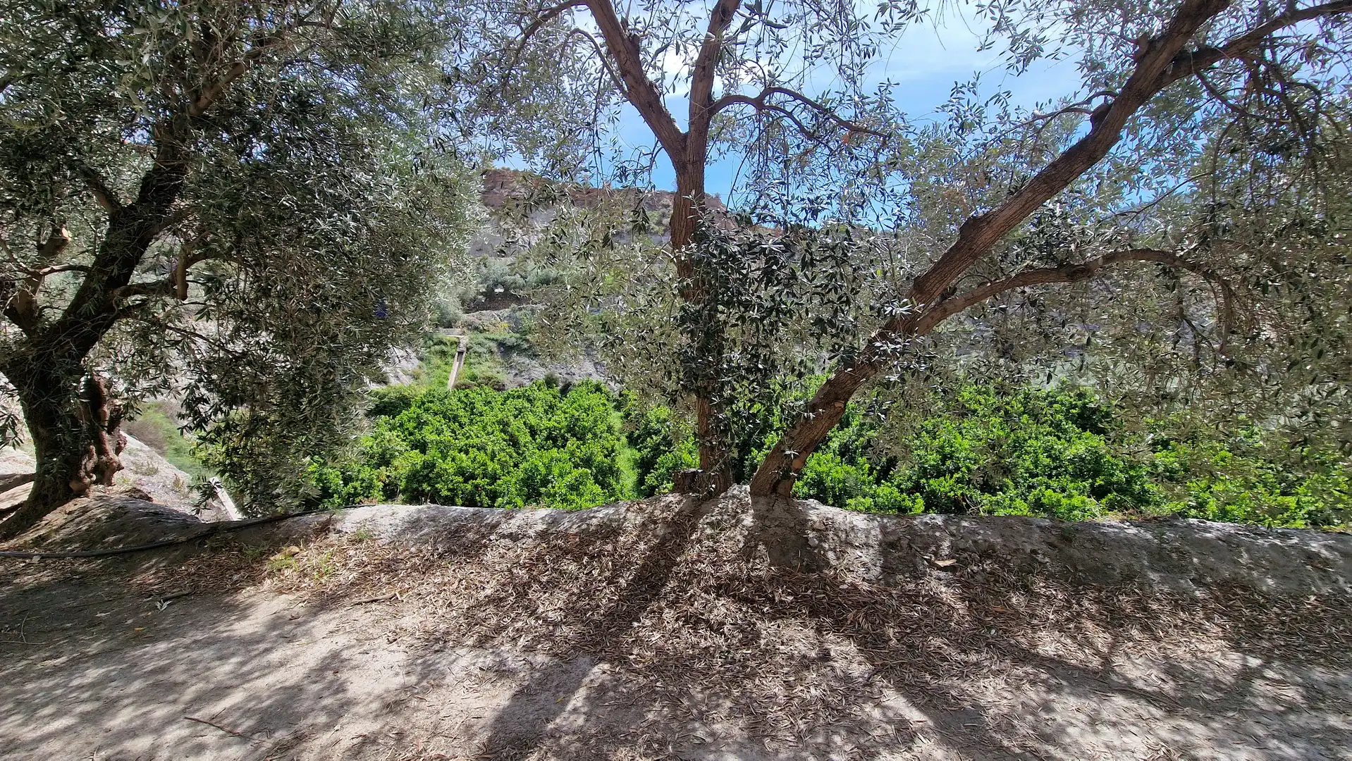 Finca rústica en venda en Canjáyar amb Jardí privat i Moblat