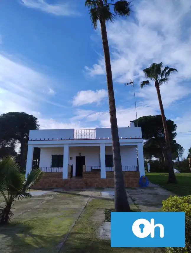 Vista exterior de Finca rústica en venta en Bonares