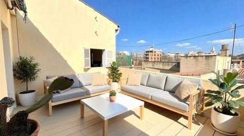 Foto 2 von Wohnungen zum Verkauf in Sant Jaume,  Palma de Mallorca