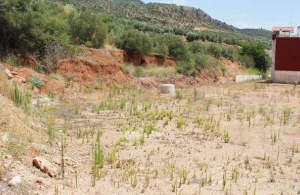 Terreno residencial en Venta en De Andalucía en La Puerta de Segura