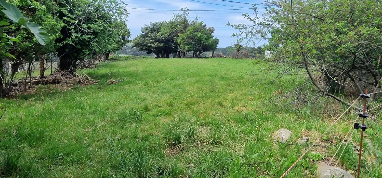 Terrenos y solares en venta en Coaña, imagen 4