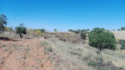 Foto 3 de Residencial en venta en Don Álvaro, Badajoz