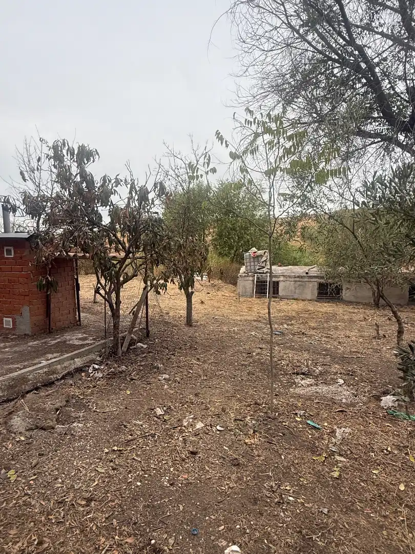 Xalet en venda a Urbanización Los Almendros, imagen 3