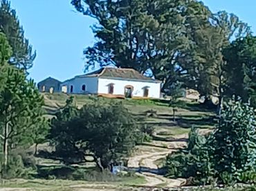Casa rústica con jardín en venta en Almonte ciudad