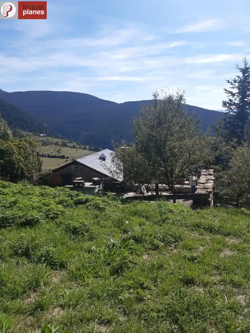 Exterior view of Houses for sale in Les Valls de Valira  with Private garden and Furnished