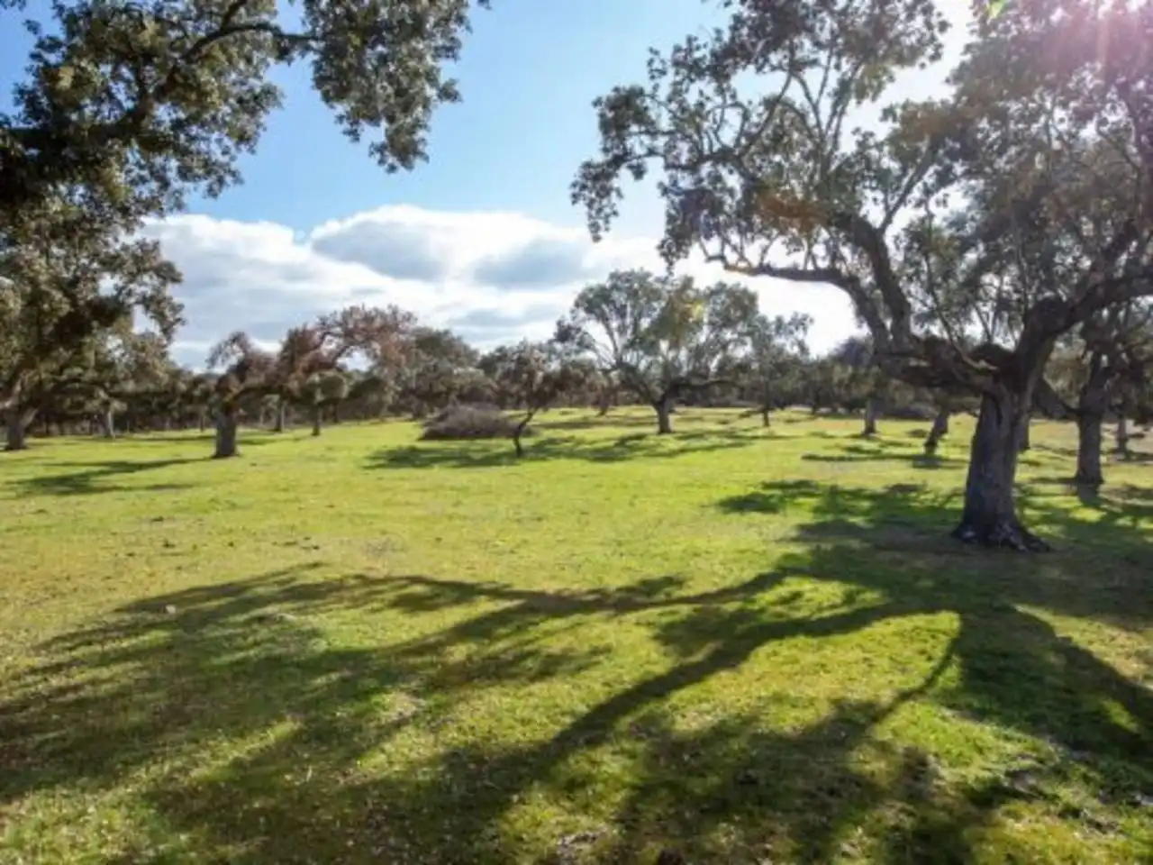 Terreno en venta en Poligono 1, La Alameda de Gardón