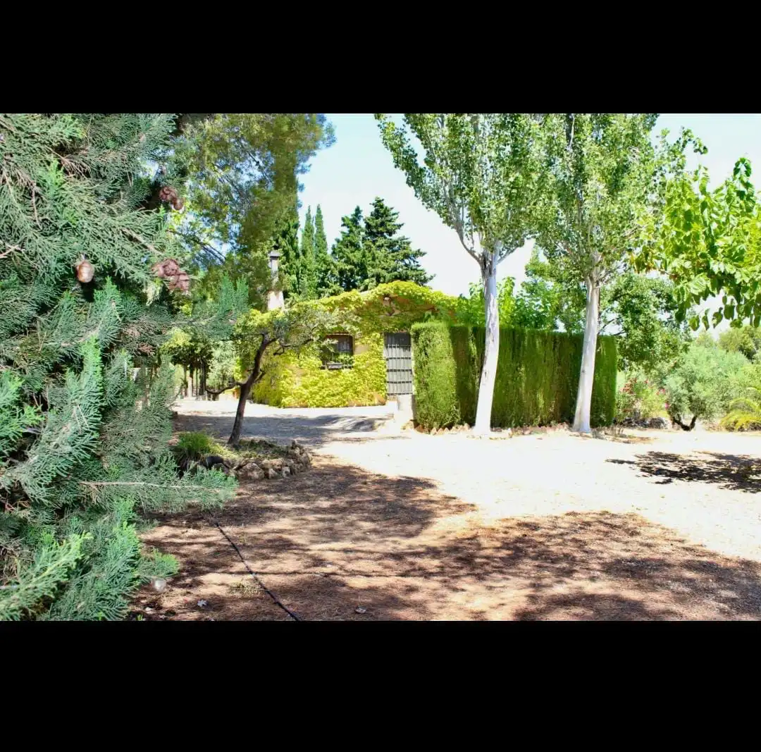 Garten von Grundstücke zum Verkauf in Botarell
