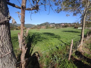 Rural land for sale in Barrio Sámano 109A
