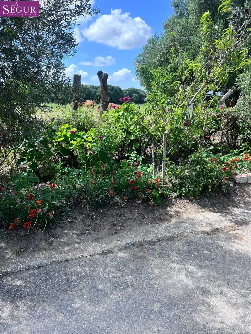 Casa rústica en venda a Vejer, imagen 37