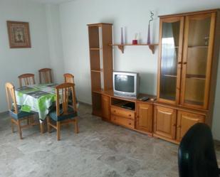 Sala d'estar de Apartament de lloguer en Ciudad Real Capital amb Aire condicionat i Calefacció