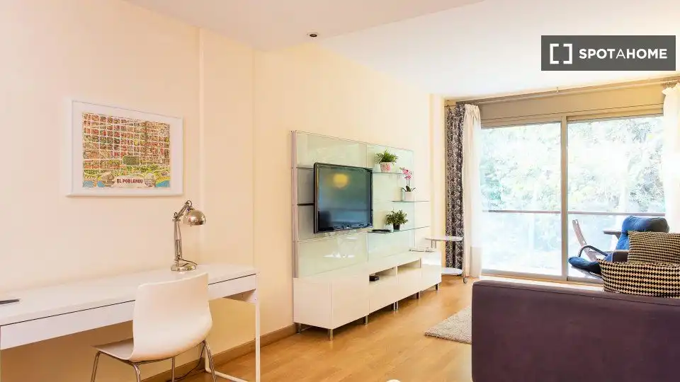 Living room of Study for share in Sant Martí