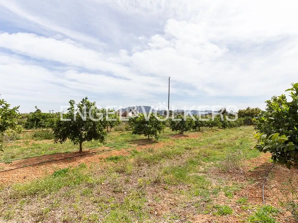 Finca rústica en venda en Alzira amb Calefacció, Terrassa i Piscina