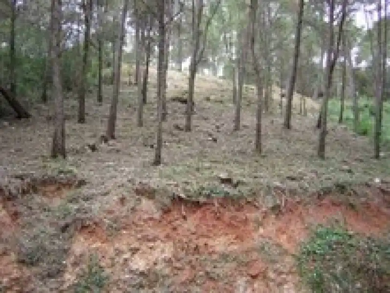 Residential land for sale in Piera, imagen 9