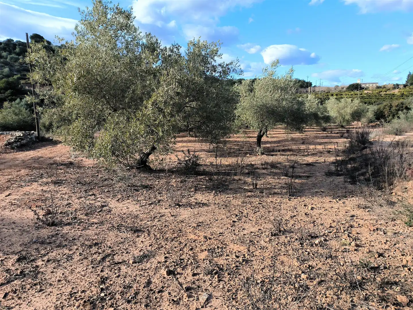 Terreno rustico in vendita a Carretera Vecinal Num 27 8, imagen 13