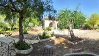 Garden of House or chalet for sale in Hondón de las Nieves / El Fondó de les Neus  with Heating, Private garden and Terrace