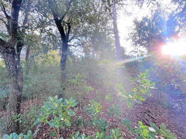Terreno residencial en venta en Carrer Torrent del Llort 35