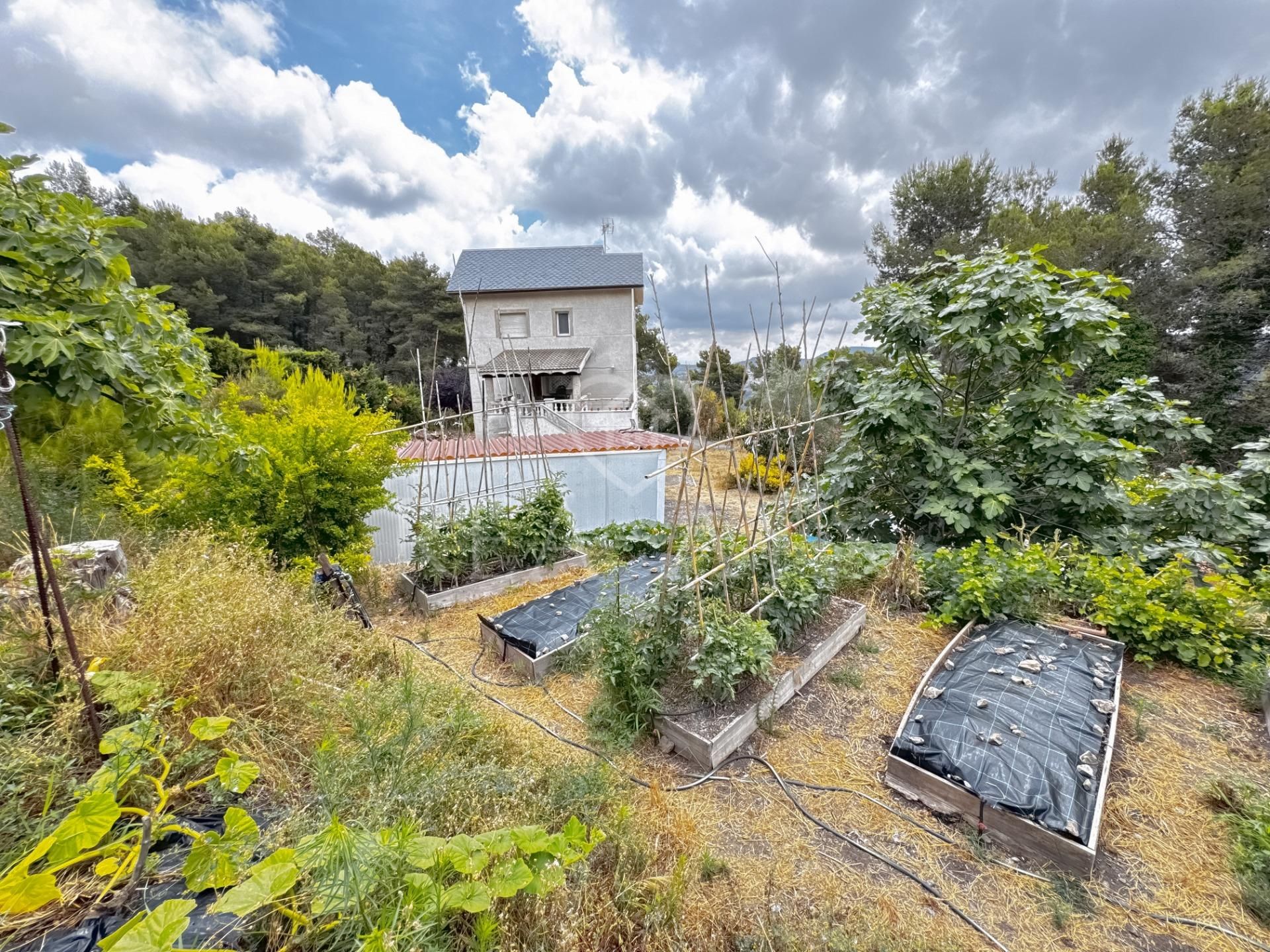 Jardí de Casa o xalet en venda en Vallirana amb Aire condicionat, Calefacció i Jardí privat