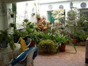 Photo 5 of House or chalet for sale in Rubite, Granada