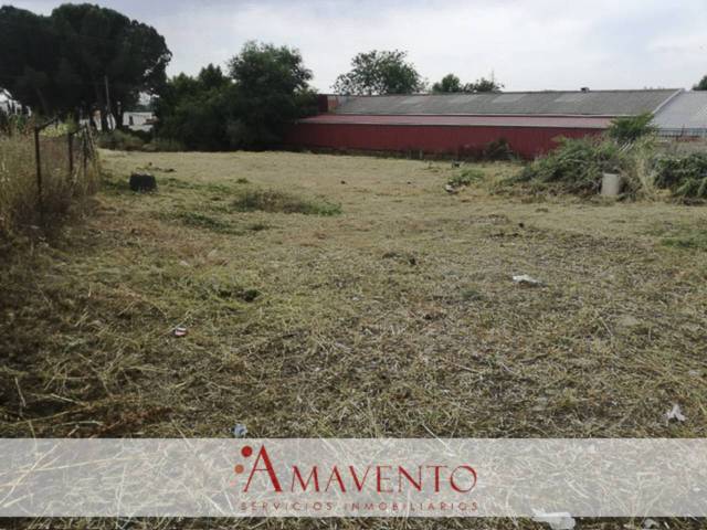 Terreno industrial en Venta en Camino Viejo de Cobeña en Zona Industrial