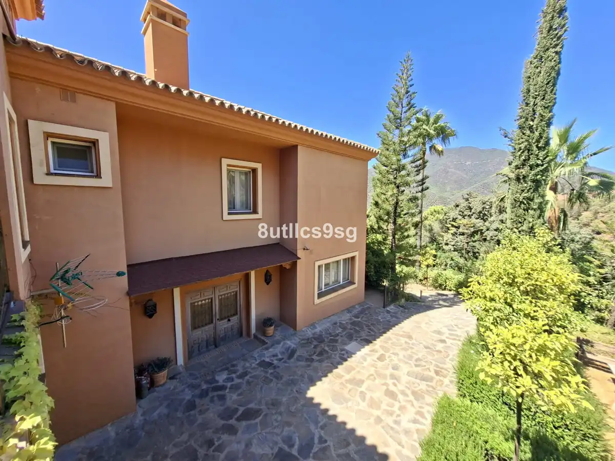 Vista exterior de Finca rústica en venta en Istán, Málaga