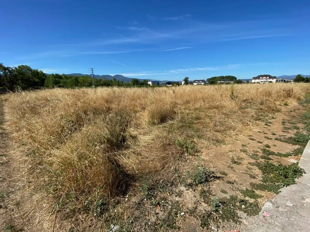 Terreni e lotti in vendita a Camponaraya, imagen 2
