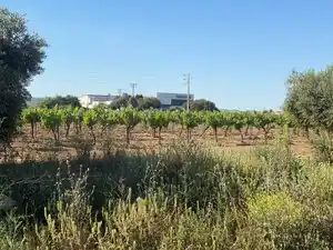 Land for sale in Bellvei