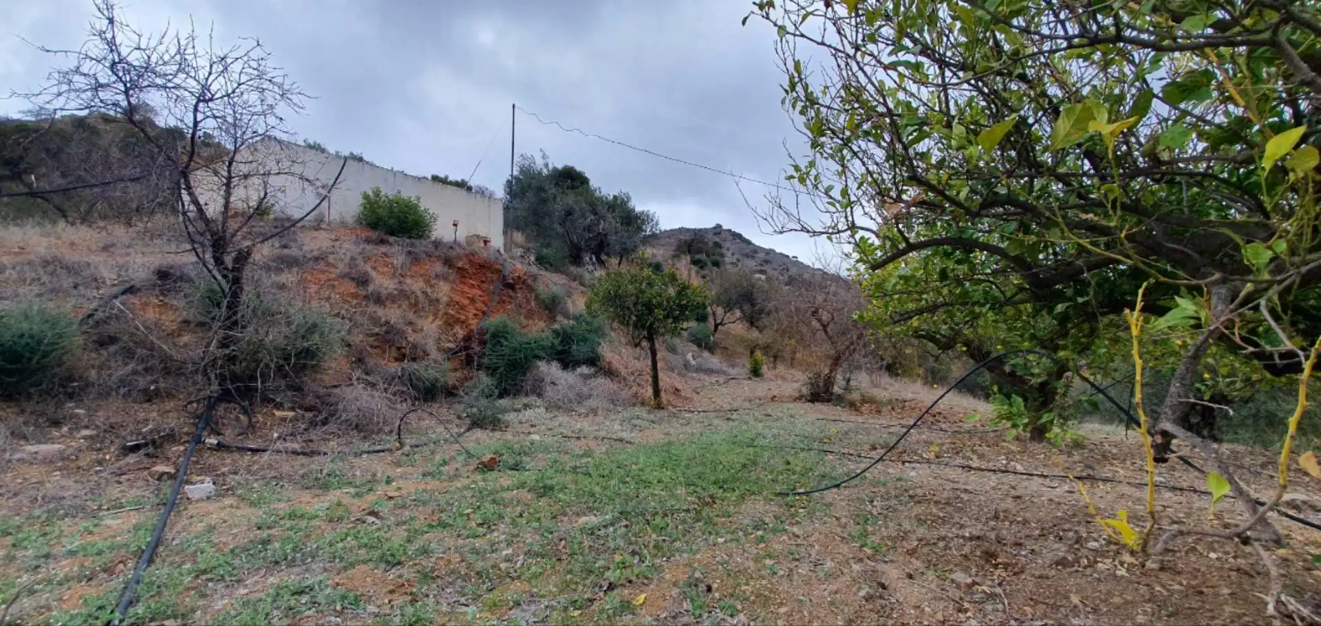 Terreni e lotti in vendita a Cártama pueblo, imagen 17