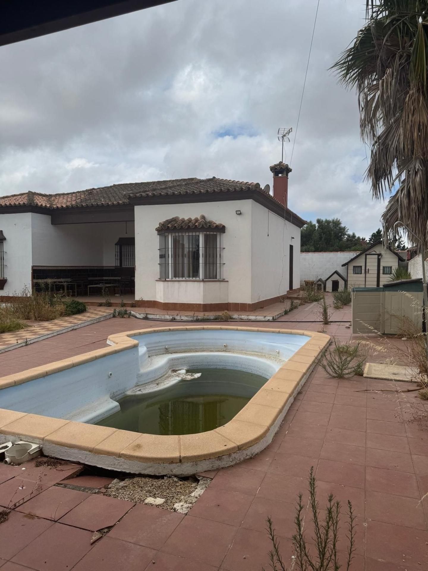 Jardí de Finca rústica en venda en Chiclana de la Frontera amb Terrassa i Piscina