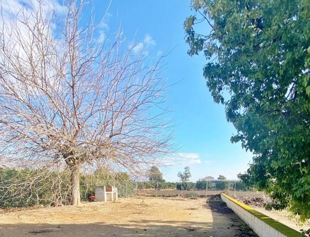 Finca rústica en Venta en Desamparados - Hurchillo - Torremendo