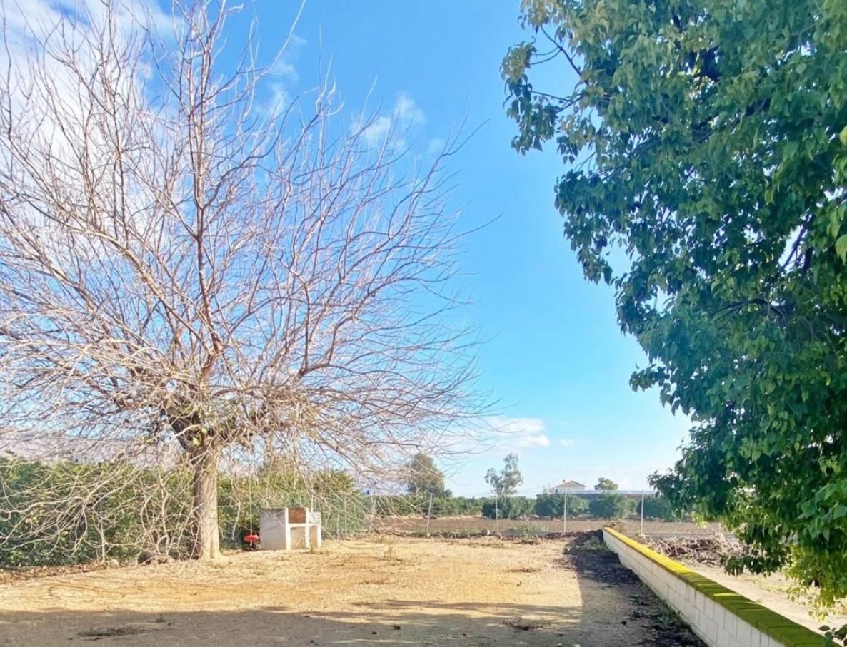 Finca rústica en venda en Orihuela amb Jardí privat