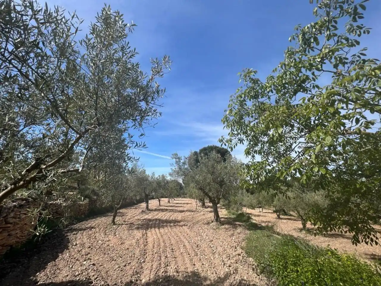 Chalet con jardín en venta en Calle Poligono, imagen 144