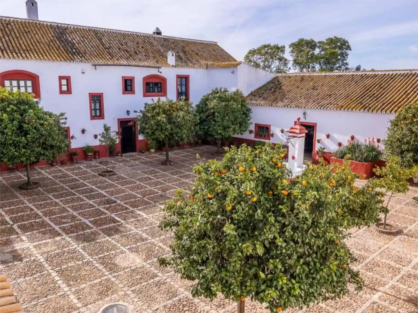 Vista exterior de Casa o xalet en venda en Carmona amb Jardí privat, Traster i Piscina