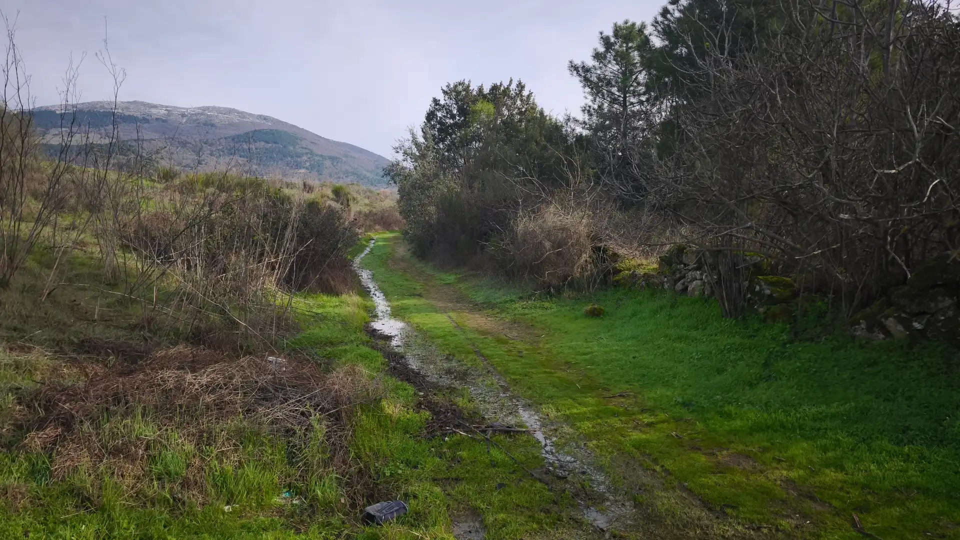 Terreni e lotti in vendita a Santa María del Tiétar, imagen 3