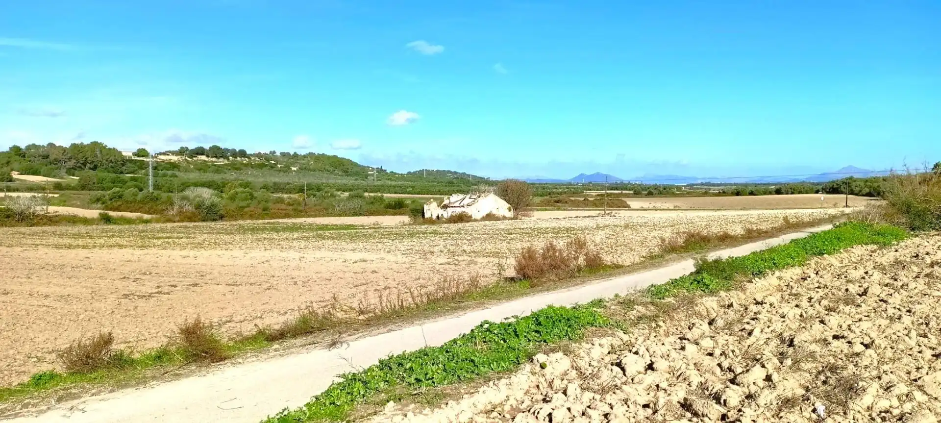 Wohnbaugrundstück zum Verkauf in Muro, imagen 15