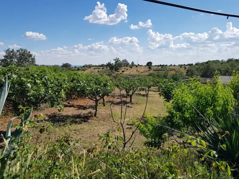 Chalet en venta en Torremenga, imagen 29